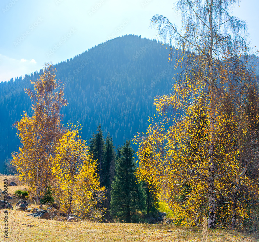 Conquer heights and plunge into the untouched beauty of the Tien Shan spruce forests among the autumn mountains! Nature Explorers Majestic Mountains