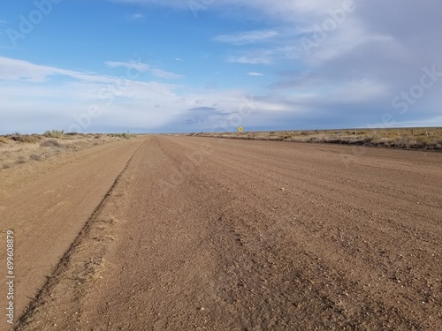 empty road in Pen  nsula de Valdes  Argentina