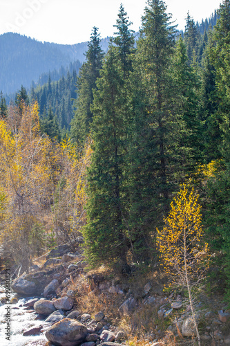 Discover the enchanting spruce forests of the Tien Shan. Immerse yourself in a world of vibrant autumn colors. Unleash your adventurous spirit and conquer new heights.