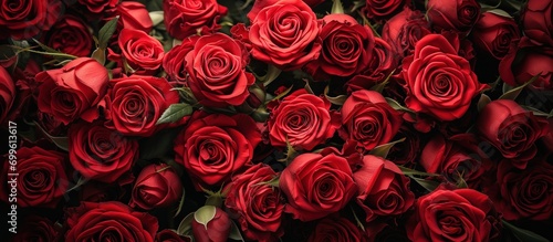 Natural and fresh red roses flowers pattern wallpaper background © RMedia