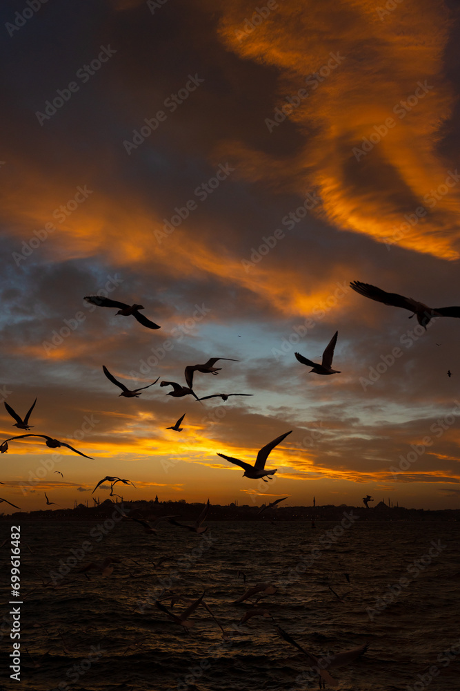Istanbul view with seagulls and dramatic sky at sunset.