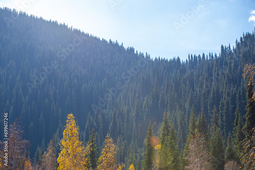 Enjoy the beauty of autumn in the Tien Shan mountains. Take a relaxing stroll among the lush greenery and pine trees. Admire the colorful flowers decorating the mountain slopes.