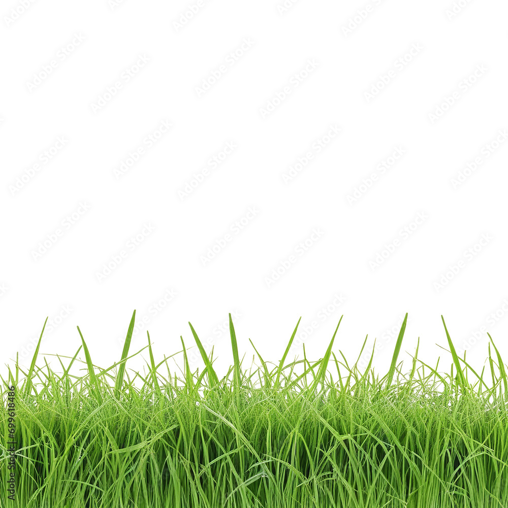 Fototapeta premium Grass: A Beautiful Isolation on White Background On transparent background PNG file