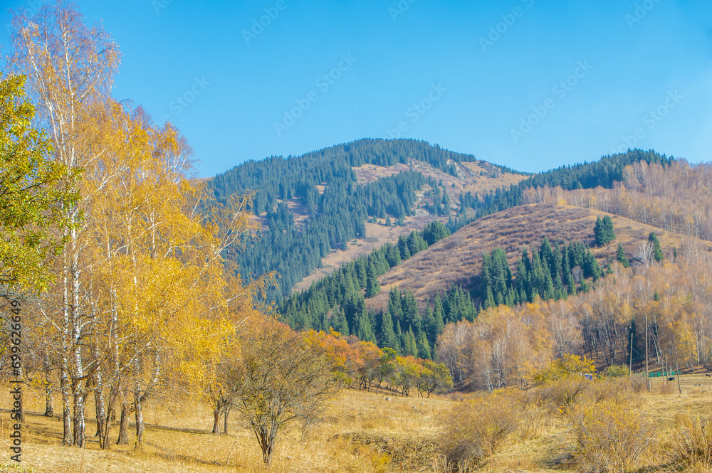 xperience the breathtaking beauty of autumn in the Tien Shan Mountains. Immerse yourself in the serenity of nature with majestic fir and birch trees. See the stunning landscape of rocky cliffs,
