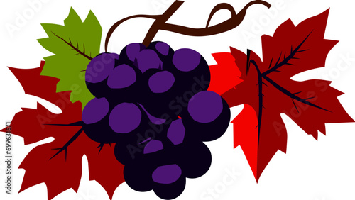 A cluster of grapes vektor icon illustation