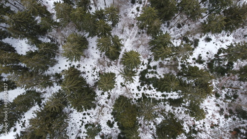 wald von oben nadelwald schnee winter verschneit kalt  photo
