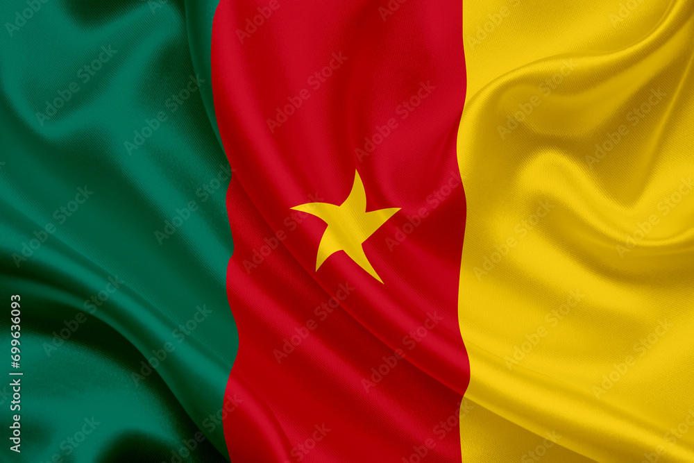 national flag of Camerun national flag of Camerun