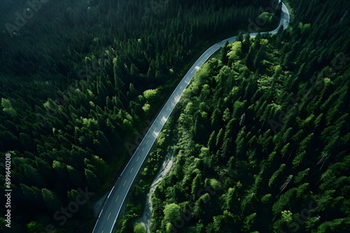view of cars driving through the forest
