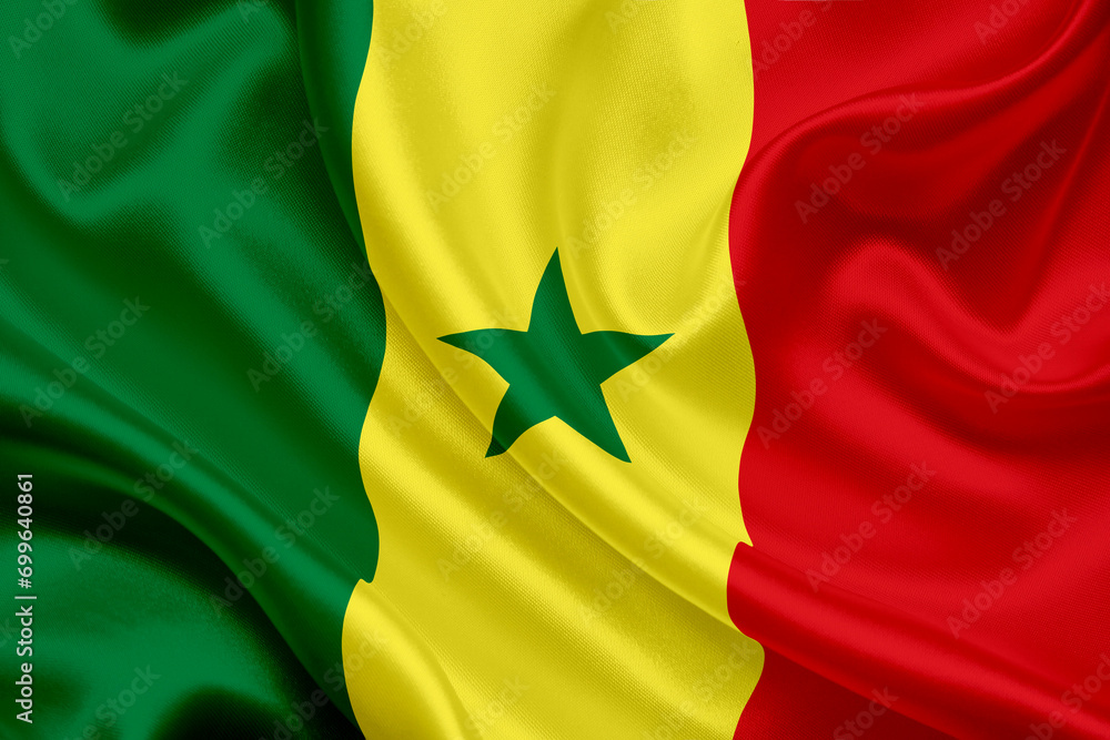 national flag of Senegal national flag of Senegal