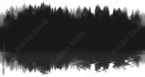 Reflection of the forest in the water