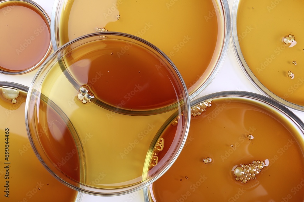 Petri dishes with color liquid samples on white background, top view Petri dishes with color liquid samples on white background, top view