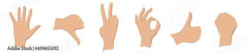 Hands show different signs. Hands in different positions. Vector illustration.