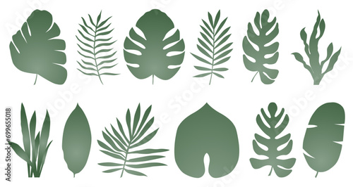 Set of exotic tropical leaves of different types in gradient. Vector illustration isolated on white background.