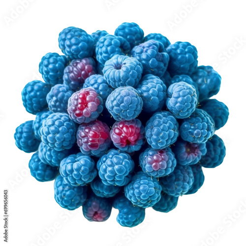 blue raspberries isolated on white background.
