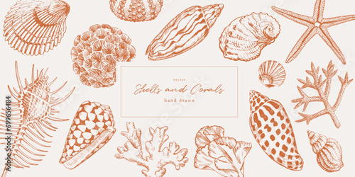 Hand drawn seashells and corals. Marine life pattern for traveling and vacation design photo