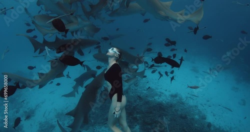 Woman dives and swims with the sharks in a tropical blue sea in the Maldives photo