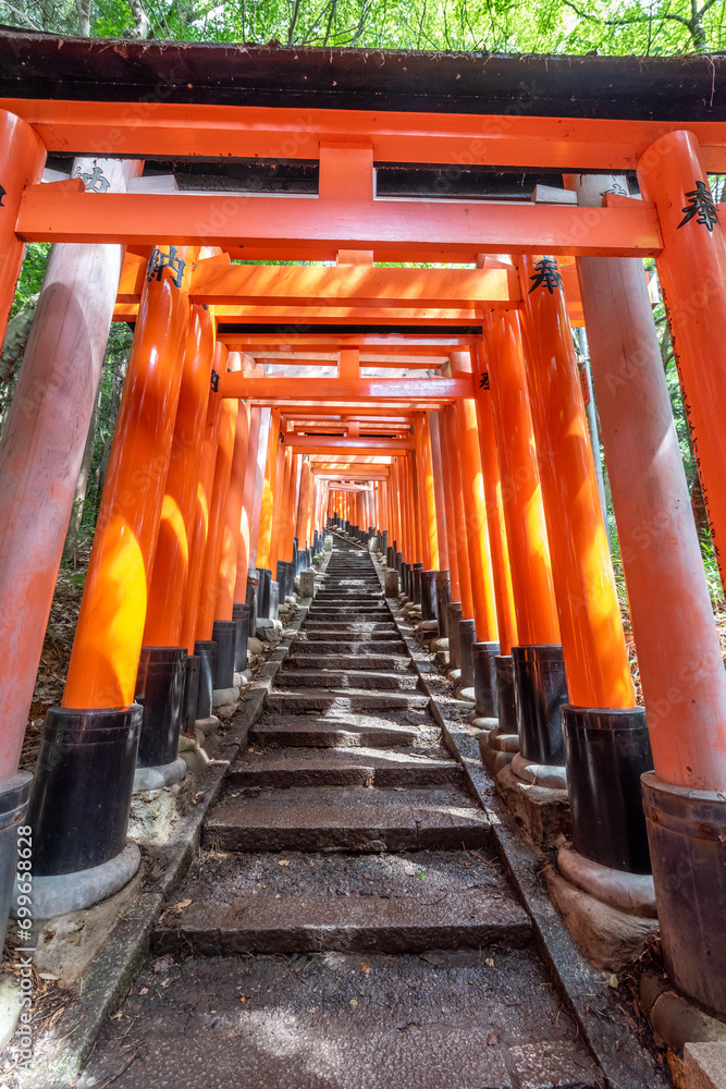 Red Torii gates in Fushimi Inari shrine Red Torii gates in Fushimi Inari shrine