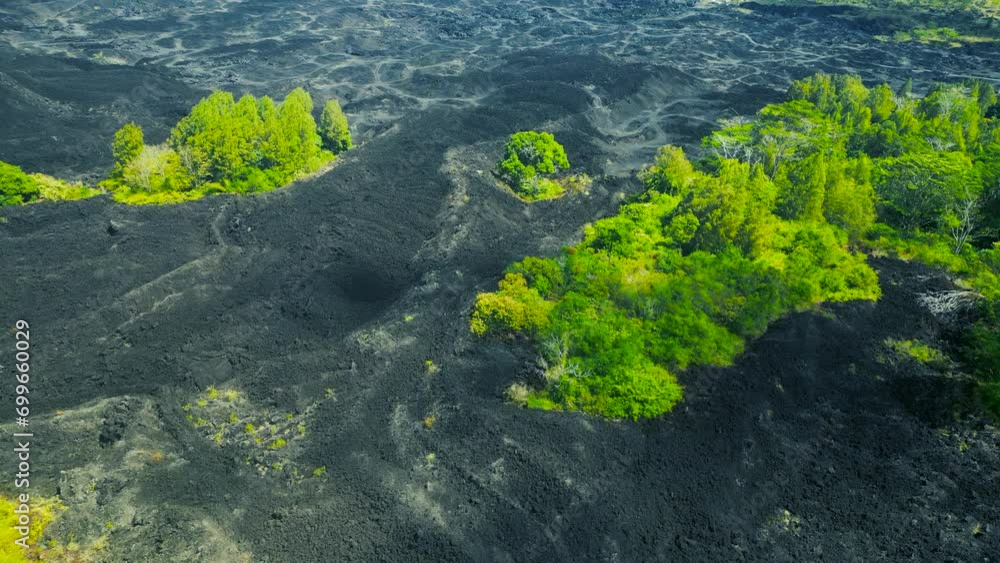 Black Lava on Cerro Negro volcano, Nicaragua Black Lava on Cerro Negro volcano, Nicaragua