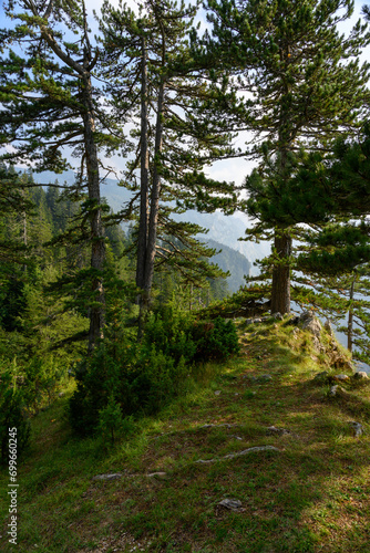 Durmitor National Park in Montenegro