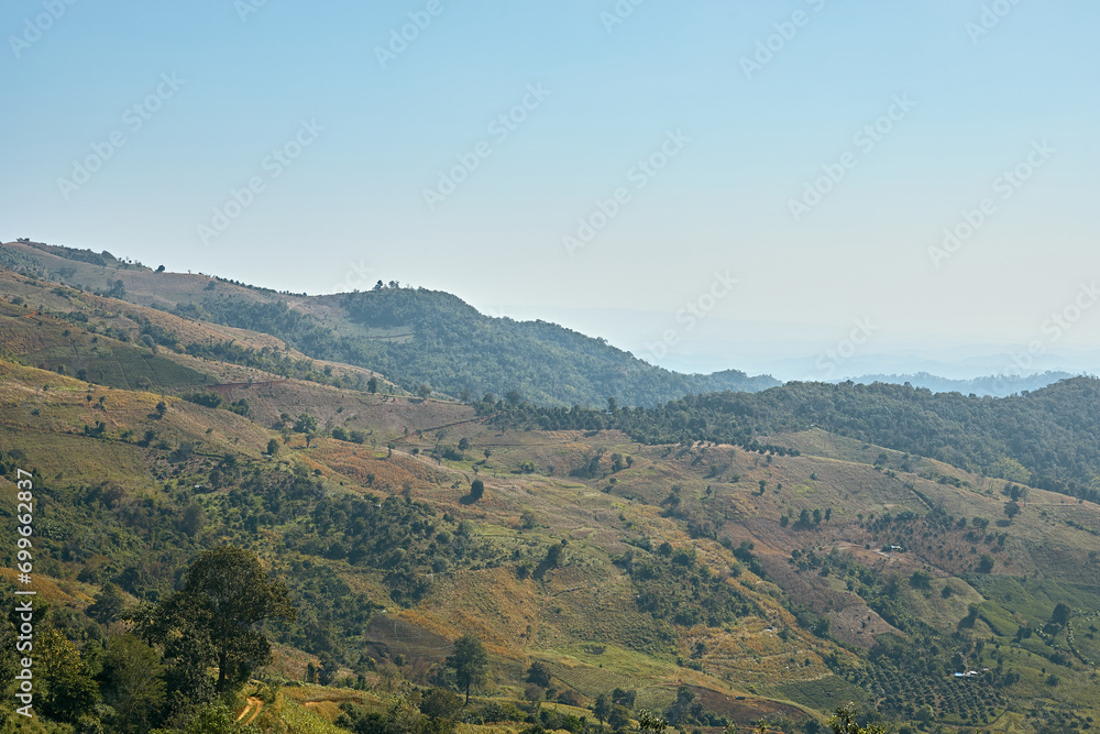 Fototapeta premium Green hills of Doi Chang Mountains of Chiang Rai