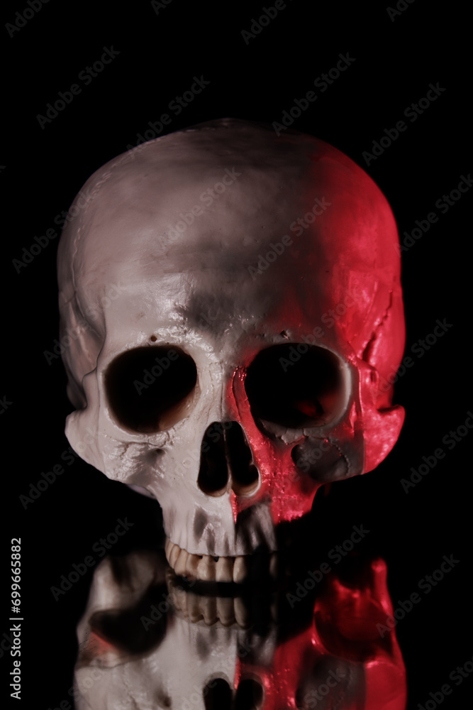 skull on a mirror skull on a mirror