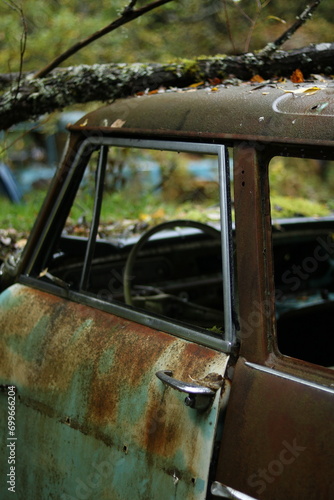 rost rostene autos autofriedhof schrottplatz wald umwelt natur vergänglich 