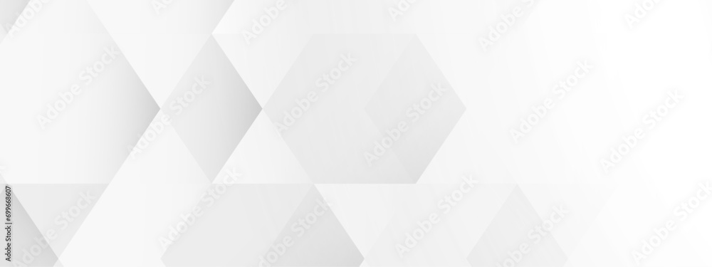white and grey glossy abstract Geometric background white and grey glossy abstract Geometric background