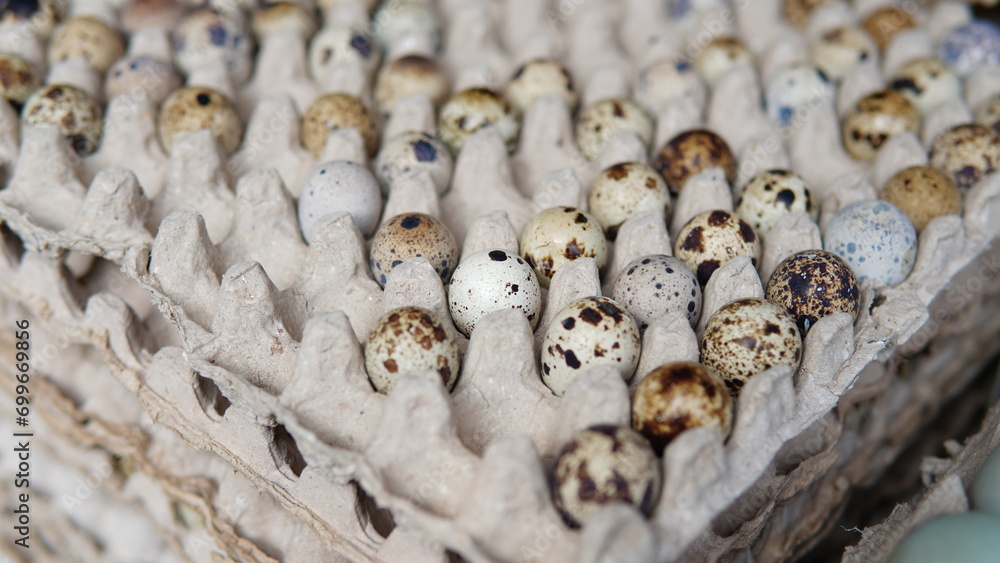 close up of quail eggs