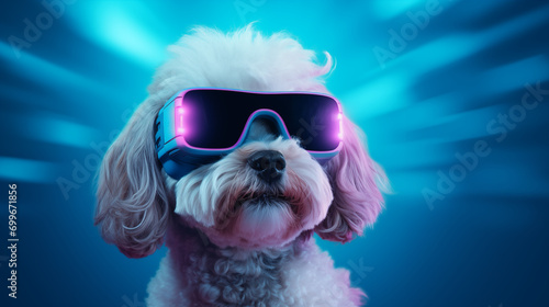 pet fluencer character Maltese Poodle dog in VR goggles illuminated with pink light against neon blue background, Ai generated image. © Trendy Image Two