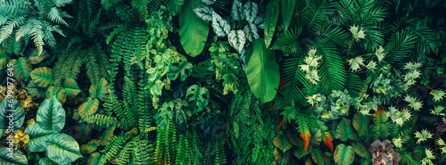 Close up group of background green leaves texture and Abstract Nature Background. Lush Foliage Textures. Exotic Greenery and Botanical Patterns. photo