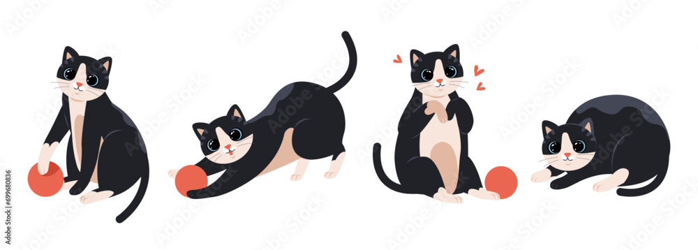 Cute funny playful black and white cat. Set of pet flat vector illustrations.
