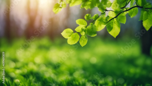 Vento di Primavera- Sfondo con Foglie Verdi