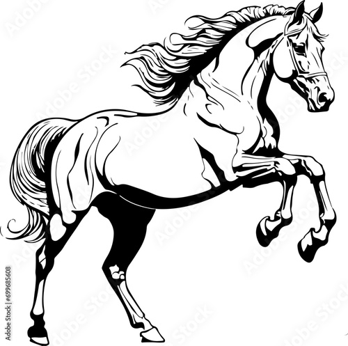 Fototapeta Naklejka Na Ścianę i Meble -  Horse SVG Bundle, Horse Silhouette SVG, Bucking Horse SVG, Rocking Horse svg, Rearing Horse svg, Horse Bit svg, Western Horse svg