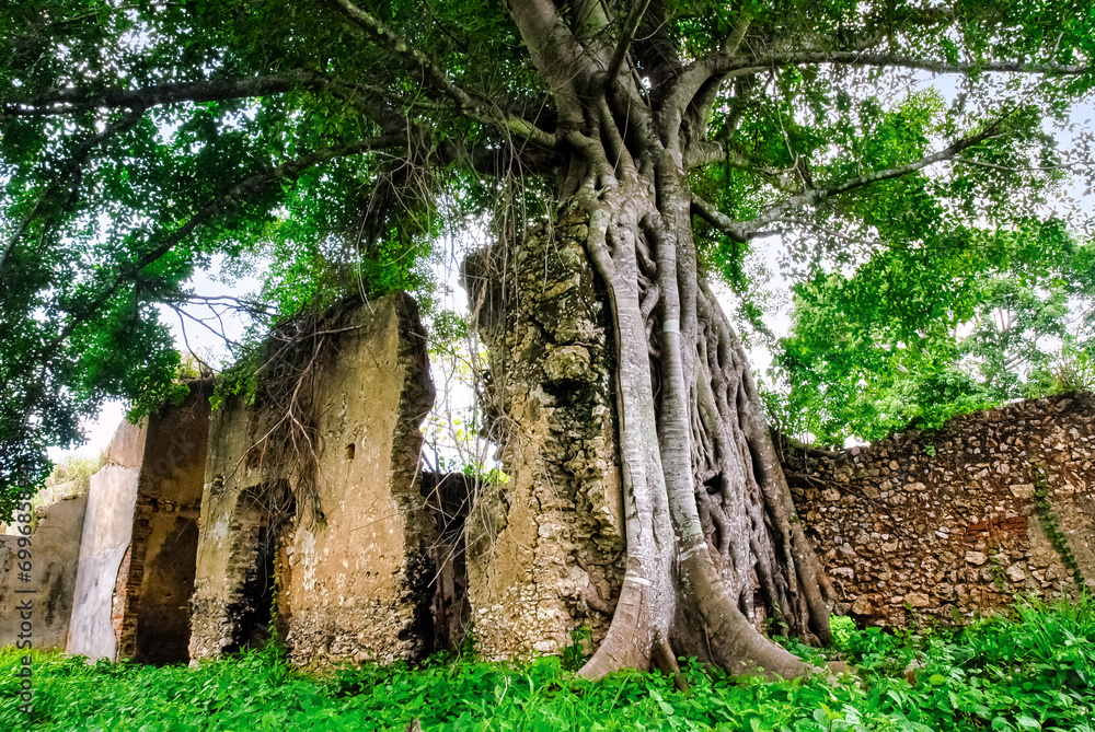 Ruins of the colonial fortification named 'Trocha Majana Mariel' in Cuba. National monument landmark Ruins of the colonial fortification named 'Trocha Majana Mariel' in Cuba. National monument landmark