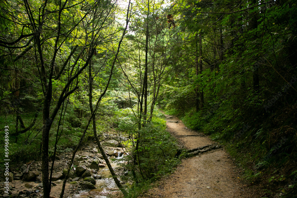 Walking the hiking road following the Nakasendo trail between Tsumago and Magome in Kiso Valley, Japan. Walking the hiking road following the Nakasendo trail between Tsumago and Magome in Kiso Valley, Japan.