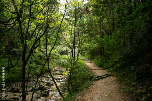 Walking the hiking road following the Nakasendo trail between Tsumago and Magome in Kiso Valley  Japan.