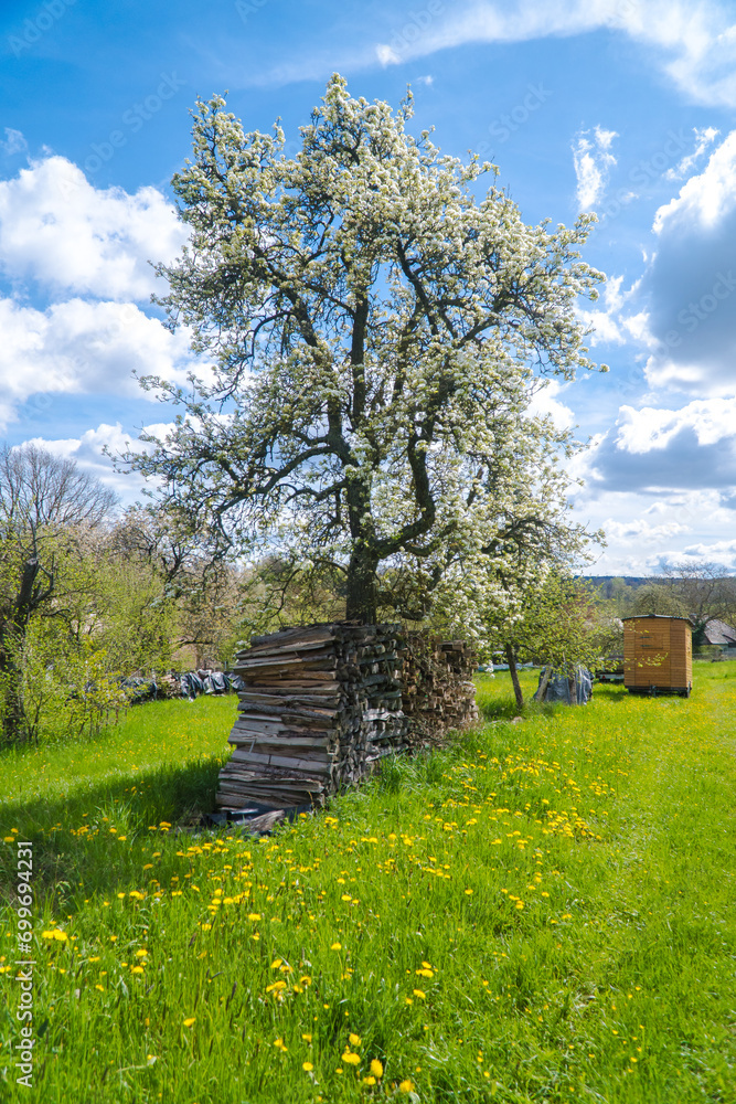 Idyllic woodpile with blooming trees