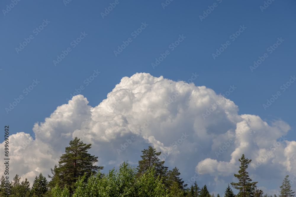 Foreground of tree tops with a backdrop of a huge, mountain-shaped white cumulus cloud set against a blue sky Foreground of tree tops with a backdrop of a huge, mountain-shaped white cumulus cloud set against a blue sky