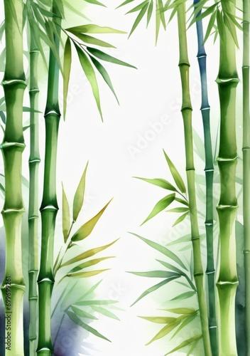 Watercolor Painting Bamboo