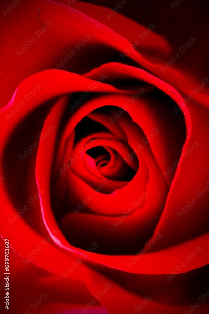 Fototapeta premium Marko Fotografien