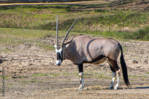 2023-04 Safaripark