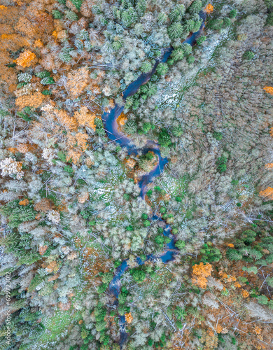Obraz na płótnie Top down drone shot of forest in autumn colors. River flowing through pine forest. Vibrant foliage. Earth texture. w salonie