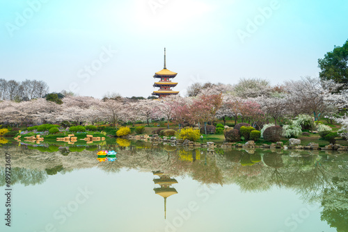 Fényképezés The five-story pagoda, cherry blossoms, and tranquil lake are like a painting