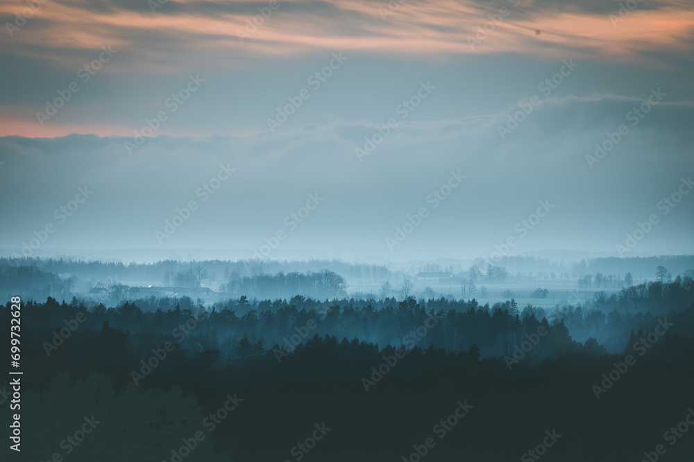 Silhouettes of trees covered in fog.  Gloomy weather over the countryside. Lonely and spooky scenery. 
