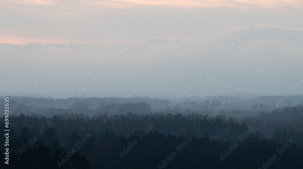 Silhouettes of trees covered in fog. Gloomy weather over the countryside. Lonely and spooky scenery.