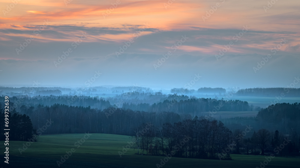 Silhouettes of trees covered in fog. Gloomy weather over the countryside. Lonely and spooky scenery.