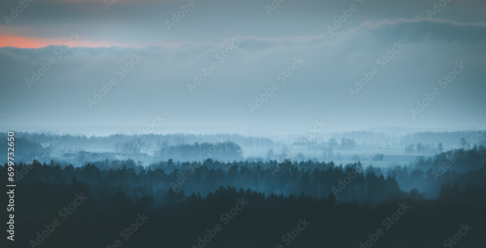 Silhouettes of trees covered in fog. Gloomy weather over the countryside. Lonely and spooky scenery.
