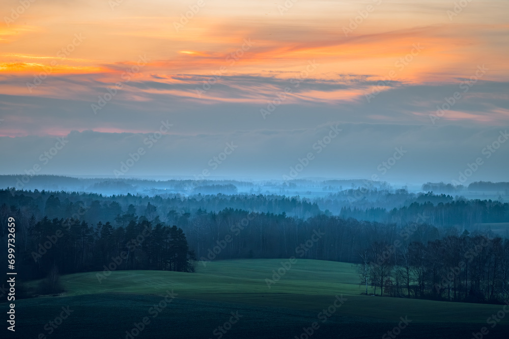Silhouettes of trees covered in fog. Gloomy weather over the countryside. Lonely and spooky scenery.