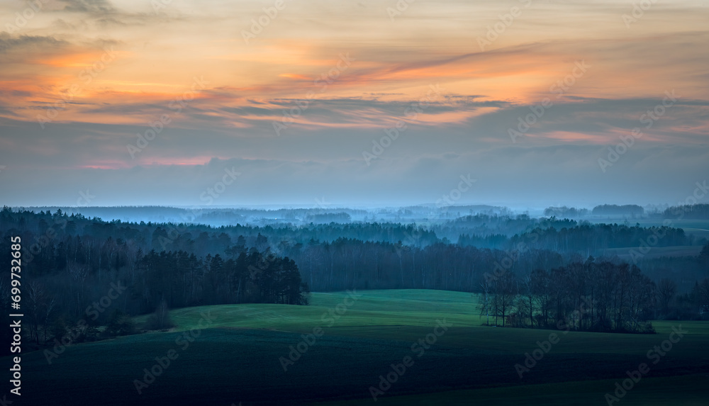 Silhouettes of trees covered in fog. Gloomy weather over the countryside. Lonely and spooky scenery.