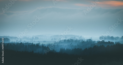 Silhouettes of trees covered in fog.  Gloomy weather over the countryside. Lonely and spooky scenery. 